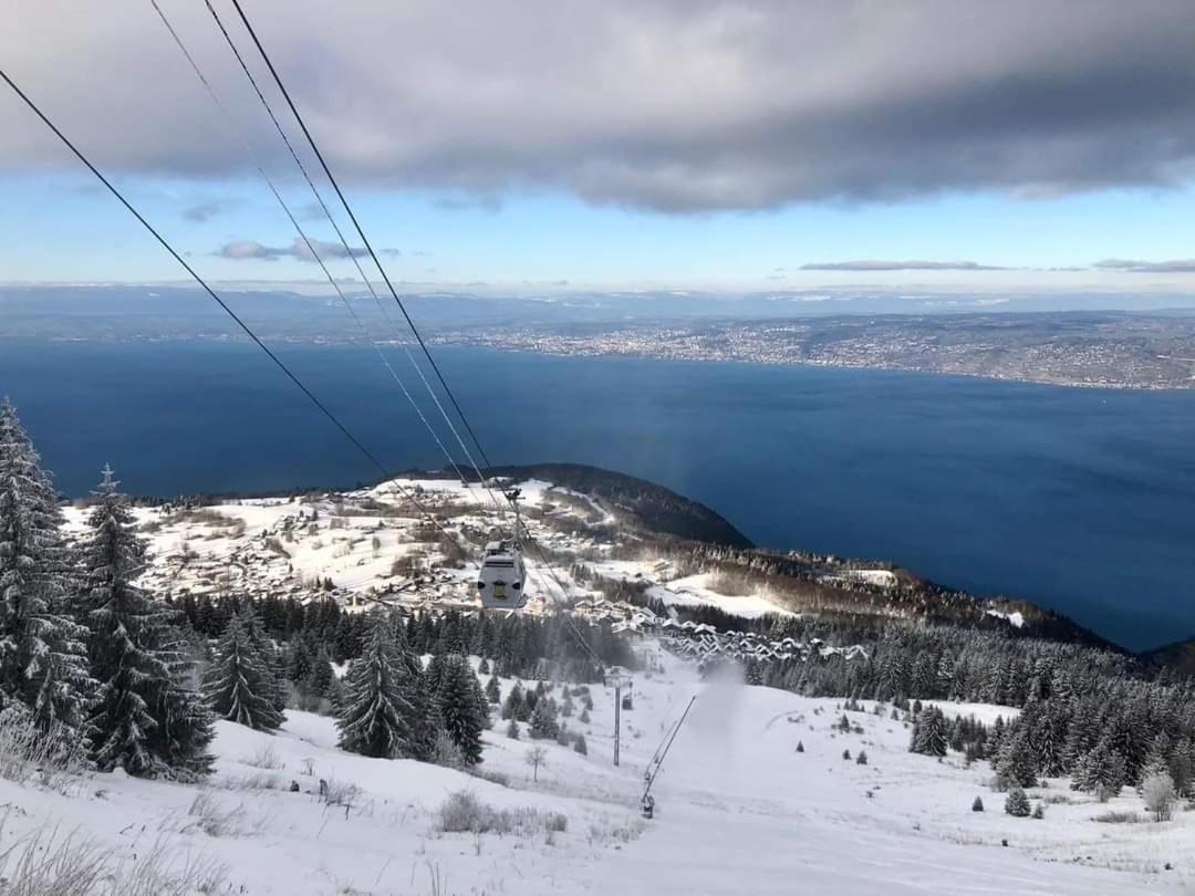 Votre Studio Balneo Bien-Etre A La Montagne Thollon-les-Memises Eksteriør billede