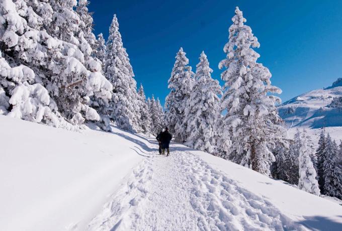Votre Studio Balneo Bien-Etre A La Montagne Thollon-les-Memises Eksteriør billede