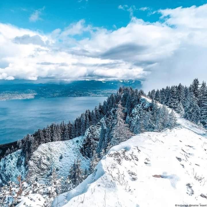 Votre Studio Balneo Bien-Etre A La Montagne Thollon-les-Memises Eksteriør billede